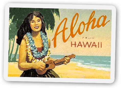 hawaiiCard